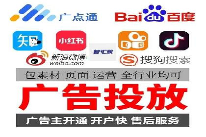 顶级SEM服务公司案例解析